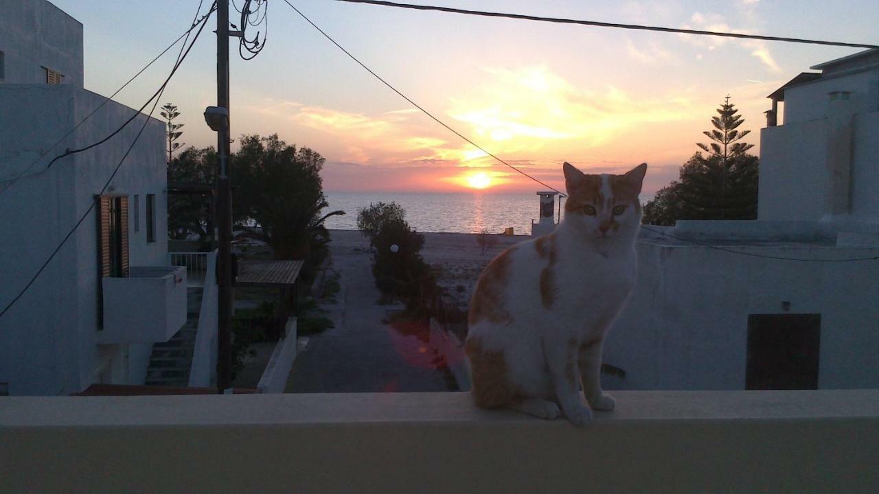 Holiday Dream Thalia Apartment Mastichari  Luaran gambar